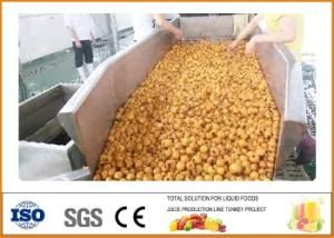 Small Fruit and Vegetable Citrus Juice Processing Equipment for Jam Production Blueberry ...