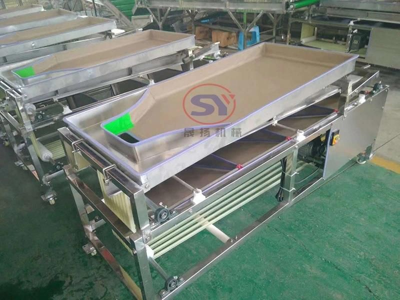 Pearl Onion Bulb Grading Machine Vegetable Sorting Grading Machine