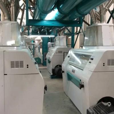 300t/D Maize Mill Corn Mill Wheat Flour Milling Mill