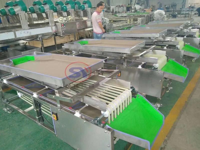 Small Type Fruit Sorting Grading Machine for Cherry Tomato