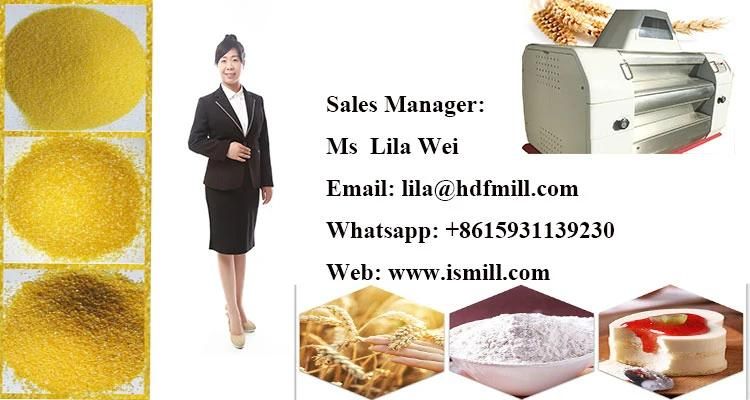 Corn Flour Mill Milling Machinery Africa Low Cost High Quality