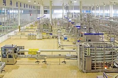 Stainless Steel Condensed Milk Production Line