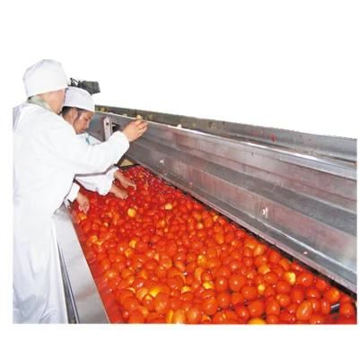 Complete Automatic Tomato Paste Production Line