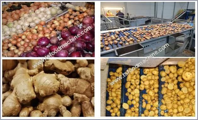 Commercial Clam Cleaning Root Vegetable Peeling Machine Peeler Machine