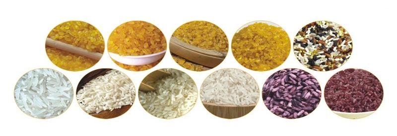 Low Energy Consumption Ce Certificate Nutritional Rice Process Line