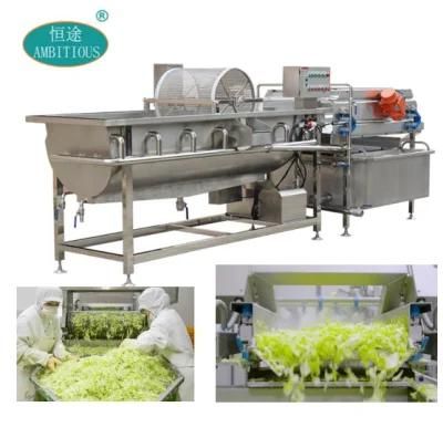 Vegetable Washer Dryer Lettuce Bubble Washing Machine
