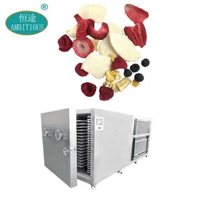 Lyophilization Cool Freezing Lyophilizer Food Fruit Vacuum Freeze Dryer