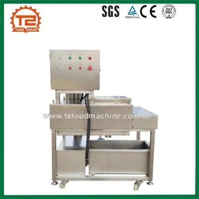 Cast Leaves Washing Machine Cast Leaves Washer Cast Leaves Processing Machine