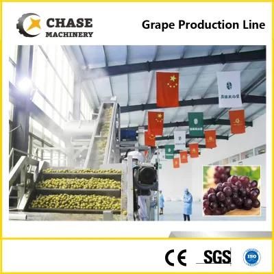 Full Automatic Complete Grapefruit Juice Production Processing Line