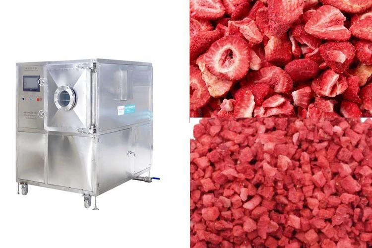 Small Vacuum Freeze Dryer Machine New Design Strawberry Lyophilizer
