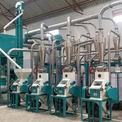 Hot Sale 20t/24h Corn Maize Mill Plant for Arusha Tanzania