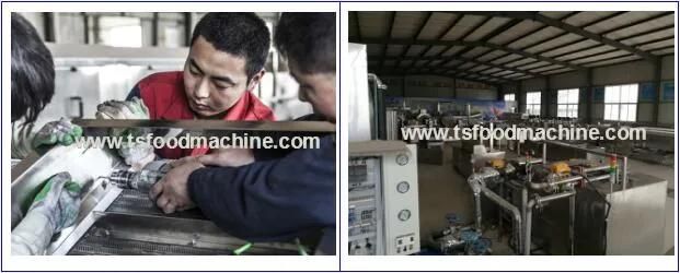 Plantain Chips Frying Machine, Plantain Chips Making Product Line, Plantain Processing Machine