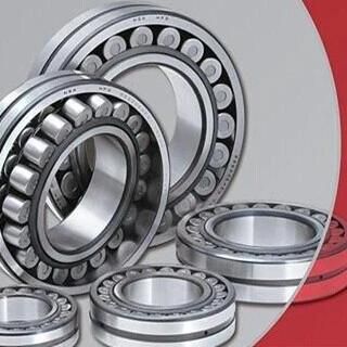 NTN Bn30-5tvvp4n Chemical Equipment for Special Bearings