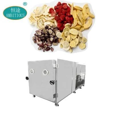 Lyophilization Machinery Industrial Vacuum Freeze Dryer Lyophilizer Machine