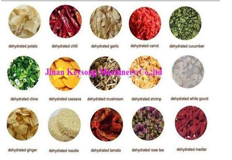 Newest Dehydrated Vegetable and Fruit Production Line