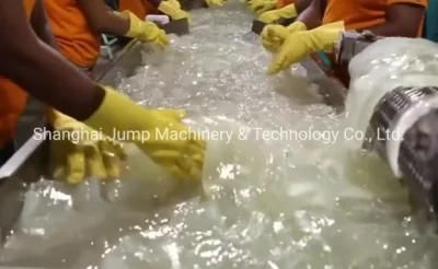 Diced Aloe Cube Processing Line Bag Packed Aloe Making Machine in Factory Cost