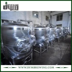 Stainless Steel Food Grade 20bbl Beer Storage Tank (EV 20BBL) for Storage The Beer