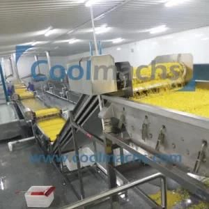 Strawberry Quick Freezing Production Line/Frozen Fruit Processing Line