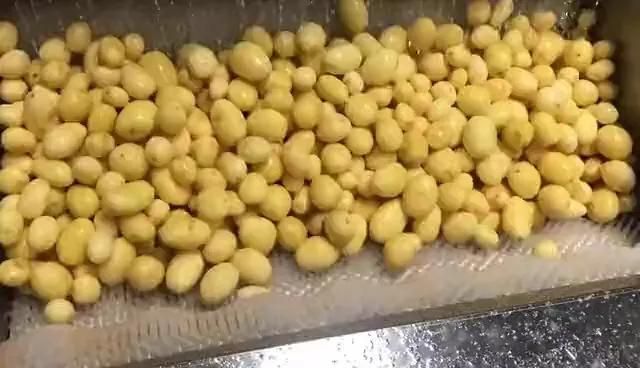 Potatoes Peeling Machinery Potato Peeler Machine Commercial Electric