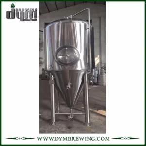 High Efficiency Stainless Steel 20bbl Wine Fermenting Tanks (EV 20BBL, TV 26BBL) for Sale