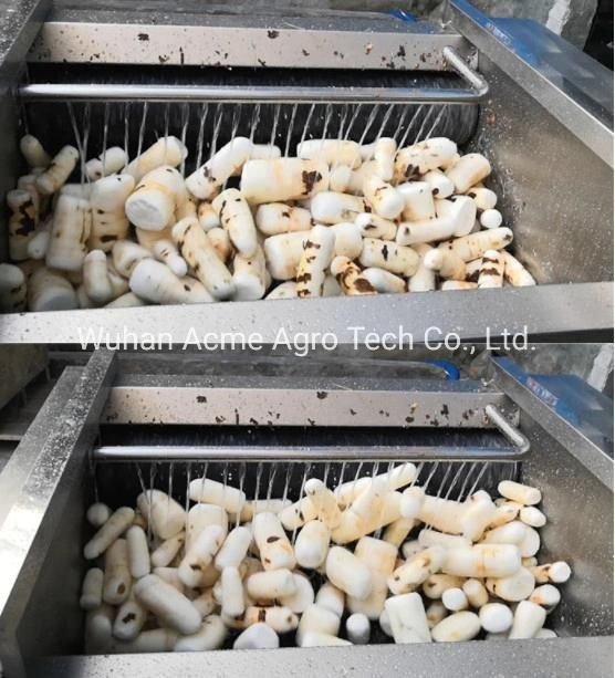 Cassava Peeler and Washer