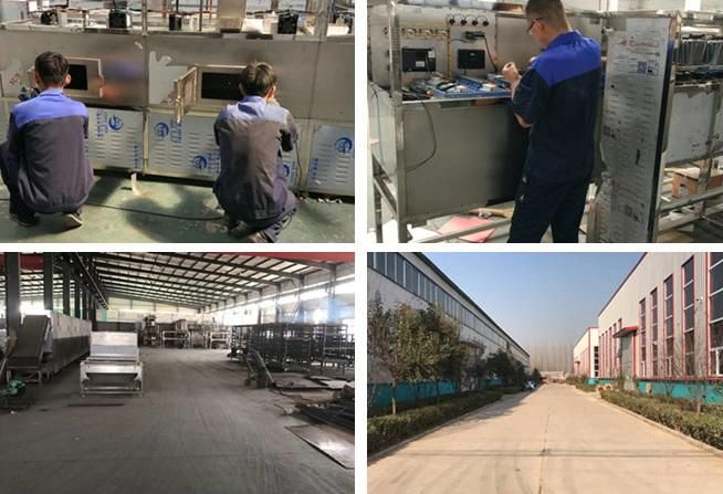 Fruit Vegetable Industrial Microwave Sterilization Drying Machine