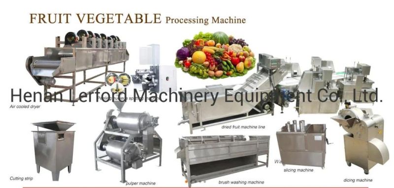 Automatic Vegetable Fruit Processing Line Fruit Vegetable Washing Machine