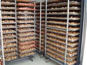 Walnut Hulling Machine