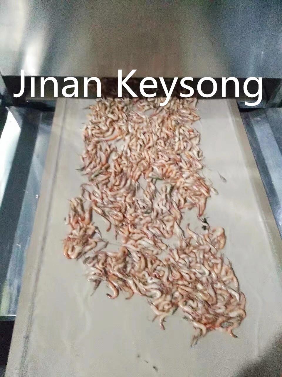 Jinan Keysong Good Quality New Designed Snack Dryer