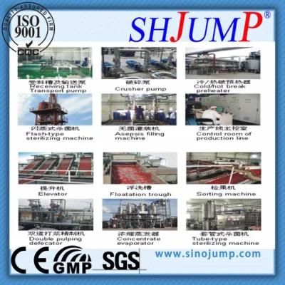 1ton Per Hour Automatic Ketchup Filling-Line Machines