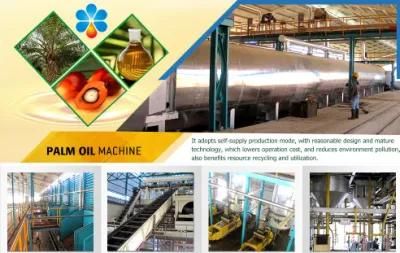 ISO9001/SGS/Ce Differnet Capacity Olive Oil Extraction Machine Oil Pressing Machine