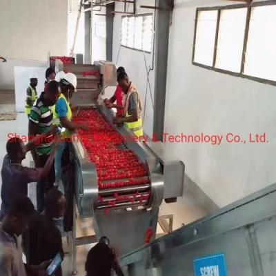 Tomato Paste Production Line with New Technique