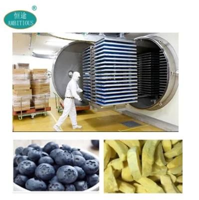 Blueberry, Jackfruit, Durian, Raspberry Vacuum Lyophilizer