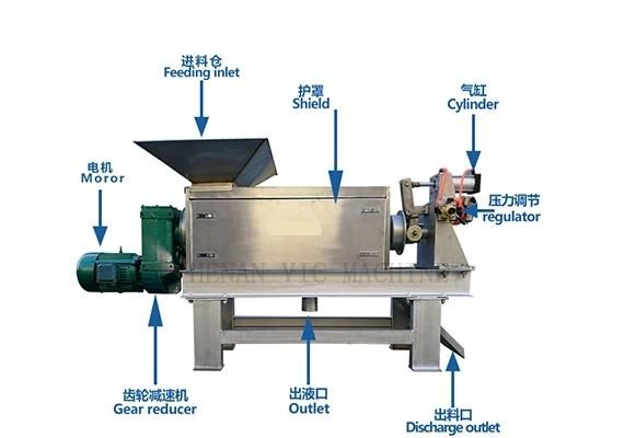 500KG/H Olives Screw Press With Separator