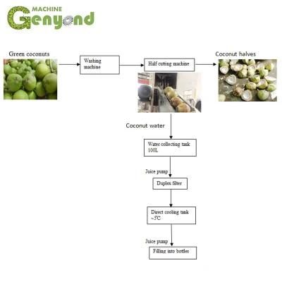Coconut Peeling Machine for Coconut Milk Processing Machine
