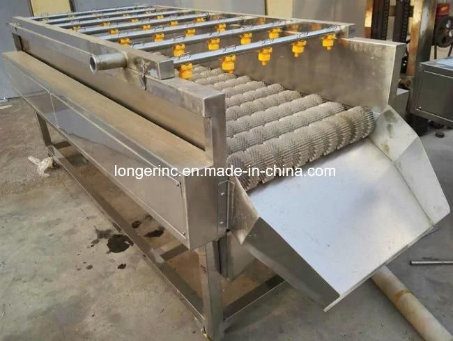 High Efficient Date Plam Washing Line Dates Cleaning Machine