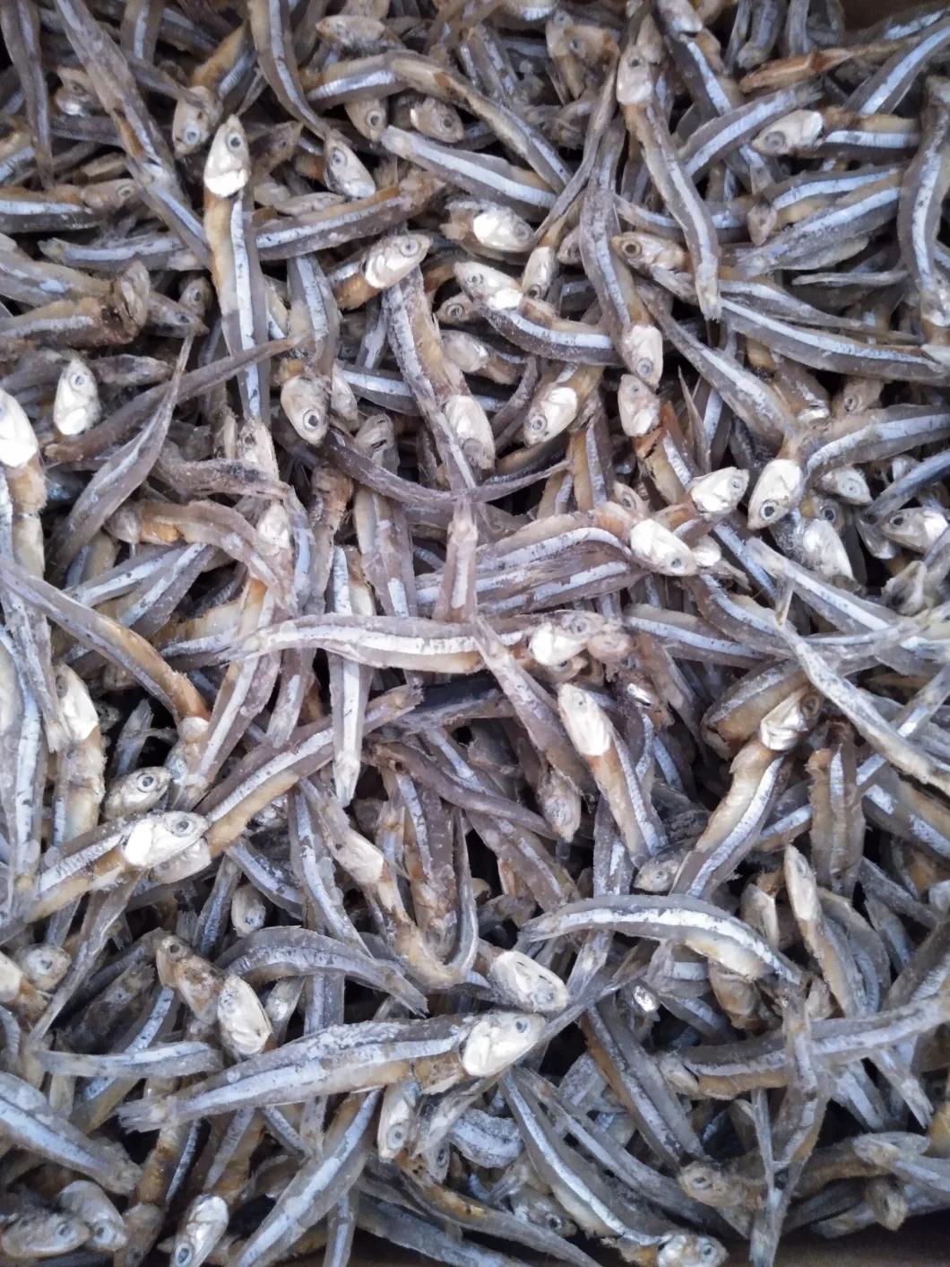 Seafood Freeze Dryer Machine Vacuum Dried Fish Lyophilizer