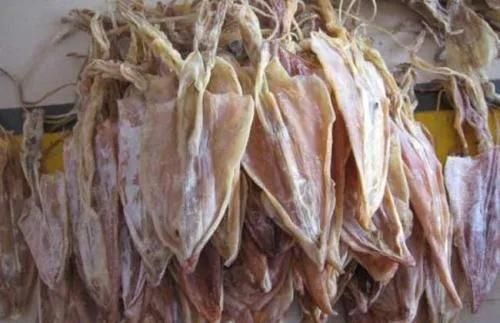 Freeze Food Drying Machine Industrial Lyophilizer Squid Freeze Dryer