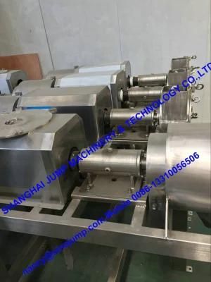Blueberry Puree Production Line/Processing Line