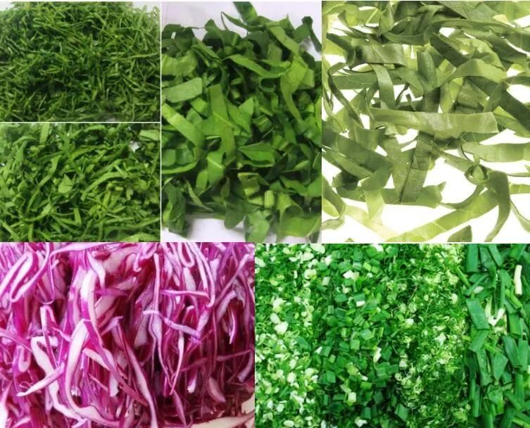 Lettuce Kale Spinach Rape Spring Onion Leeks Vegetables Cutting Machine