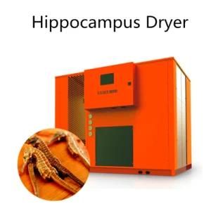 Food Processing Machinery Intelligent Seafood Production Line Hippocampus Dryer