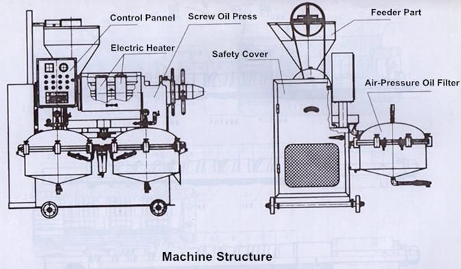 Palm Kernel Oil Expeller From Guangxin Brand