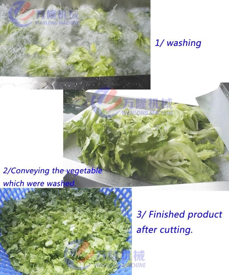 Seafood Washing Machine Cabbage Tomato Washing Machine Vegetable Sterilizing Washer with Ozone Ultrasonic Wave