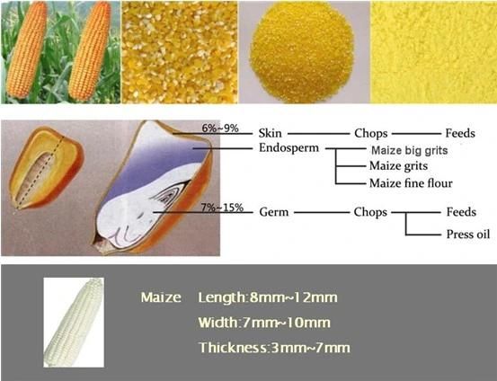 120t Per 24h Automatic Maize Milling Machine
