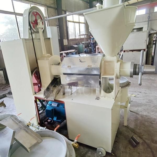550 kg/h low cost 6YL-160R Professional rice bran oil machine