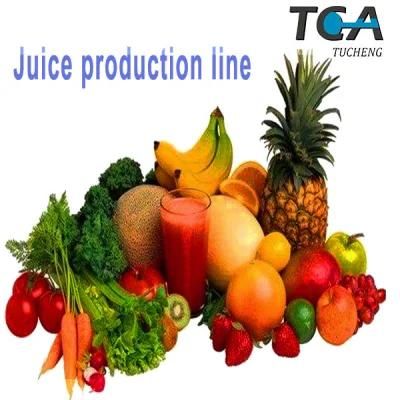 Fruit Juice Processing Equipment/Strawberry Blueberry Raspberry Juice Production Machine