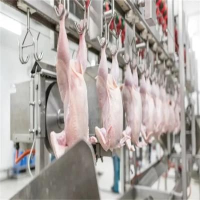 1000bph Poultry Processing Equipment/Chicken Slaughtering Plant