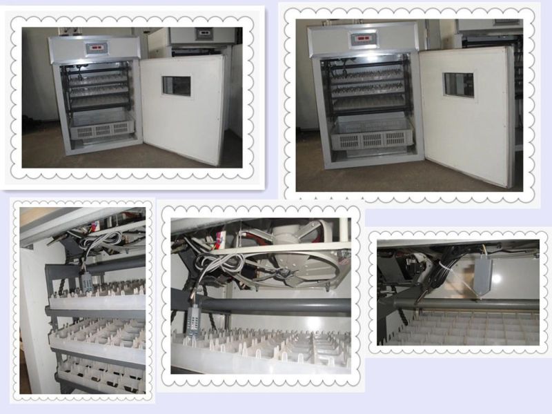 Hhd Ce Marked Digital Full Automatic 880 Chicken Egg Incubator for Sale