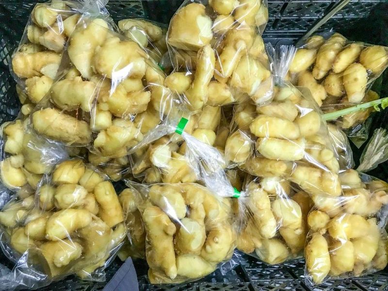 Nylon Brush Peeling Machine Ginger Washing and Peeling Machine