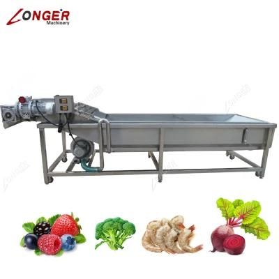 Stainless Steel Berries Cleaning Machine Bean Sprouts Washing Machine